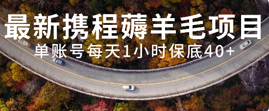最新携程薅羊毛项目，单账号每天1小时保底收益40+，可矩阵操作_抖汇吧