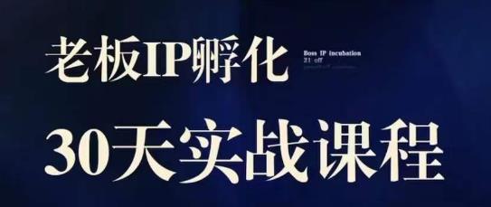 2023老板IP实战课，实体同城引流获客，IP孵化必听_抖汇吧