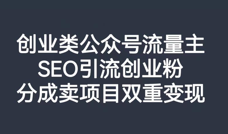 公众号创业SEO引流玩法，打造高质量流量池，双重变现项目！_抖汇吧