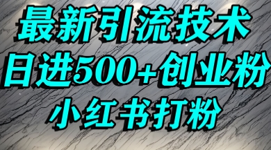 小红书精准引流创业粉，前辈求带孩子走投无路了，单人操作日引500+精准创业粉_抖汇吧