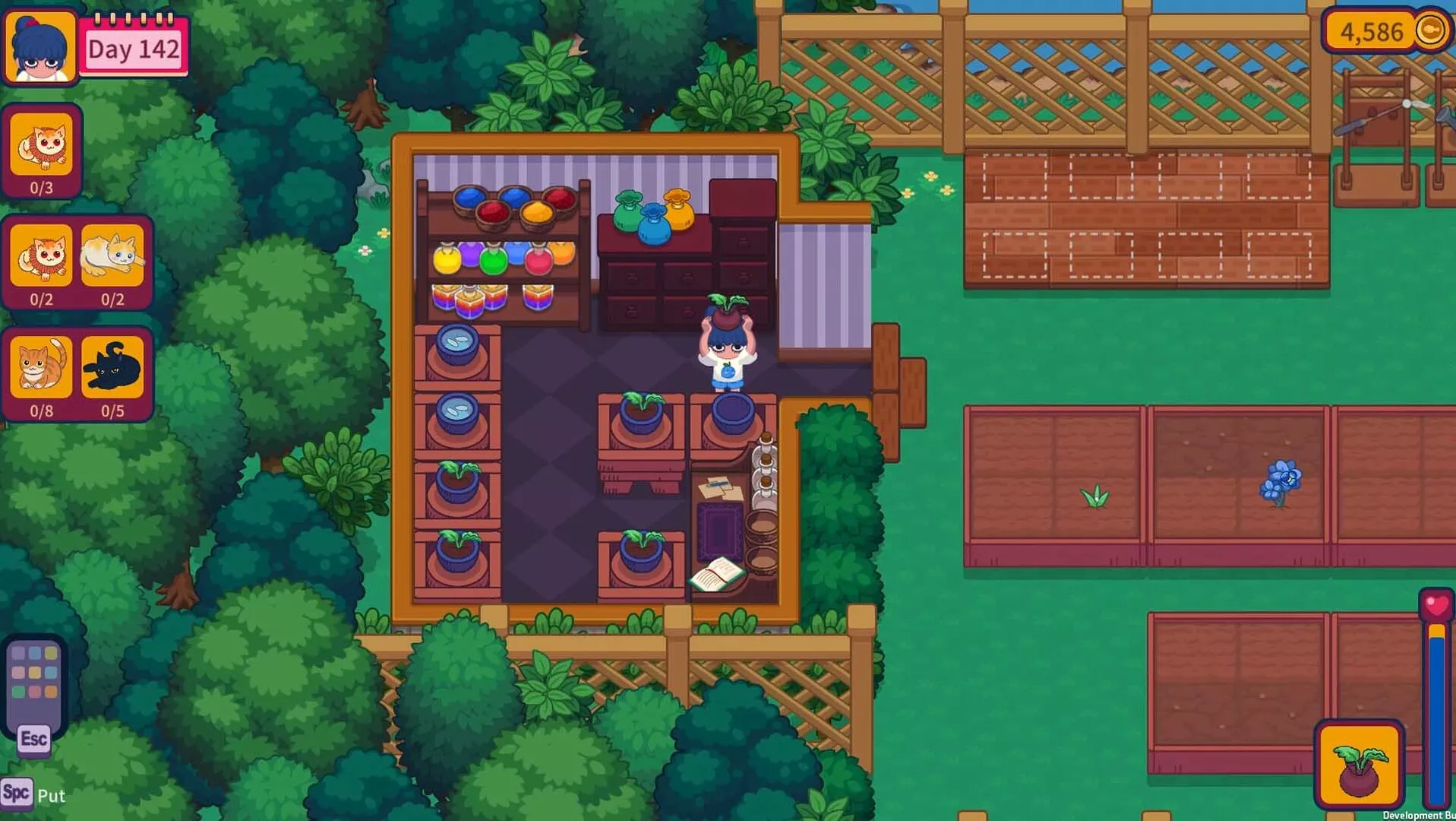 猫咪花园/Meow Garden 新游发布