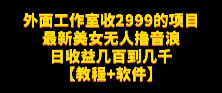 外面工作室收2999的项目最新美女无人撸音浪日收益几百到几千【教程+软件】（仅揭秘）_抖汇吧