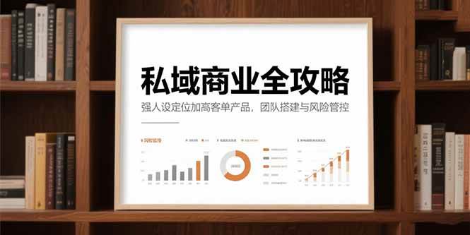 （15294期）私域商业全攻略，强人设定位加高客单产品，团队搭建与风险管控_抖汇吧
