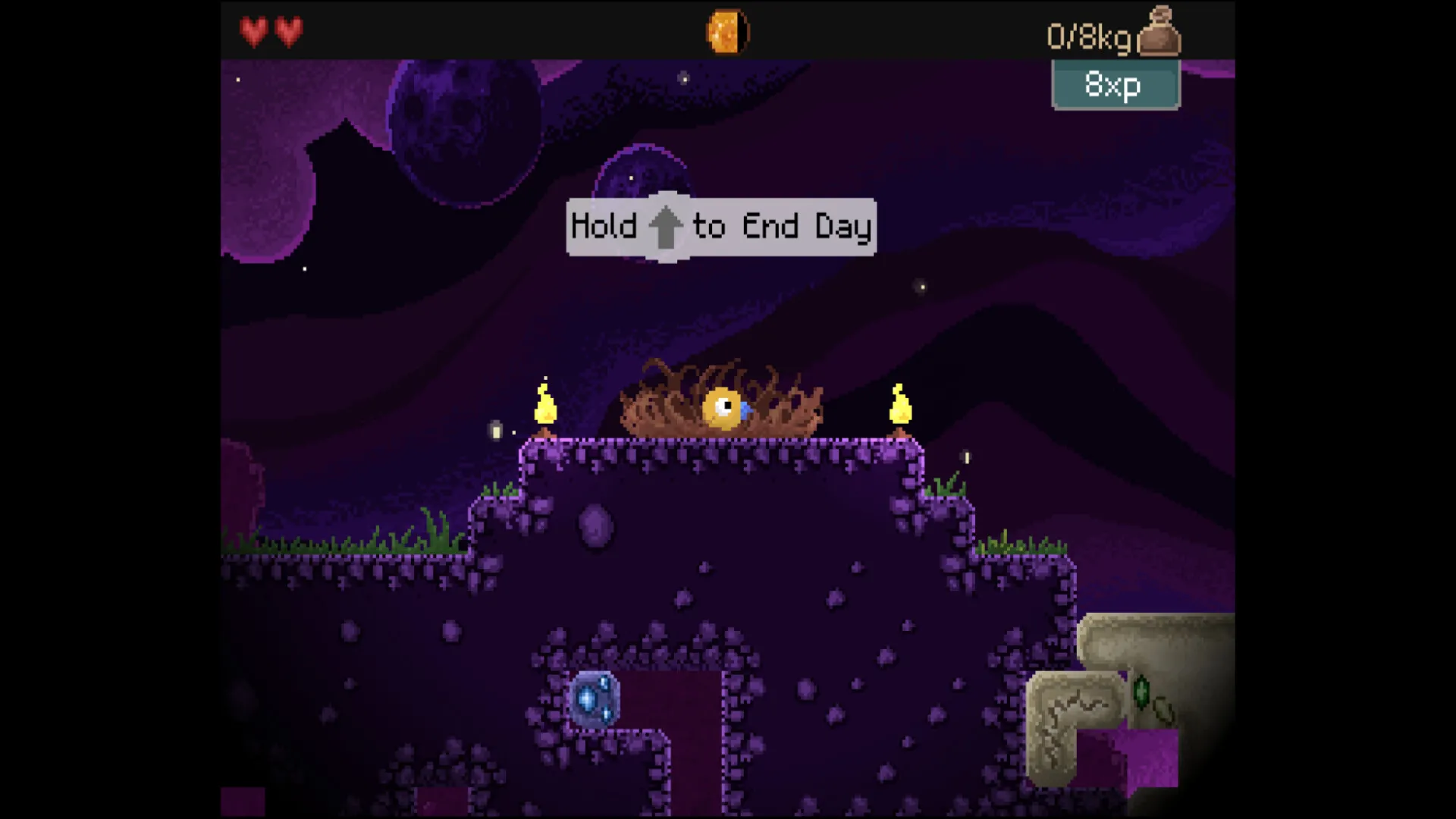 钻头鸟/Drill Bird