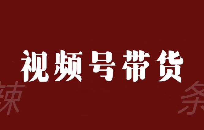 视频号带货联盟，赚信息差的带货钱，只要有手机随时随地都可以做！_抖汇吧