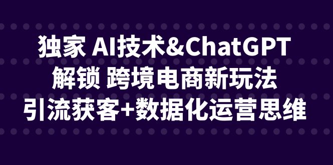 独家 AI技术&amp;amp;ChatGPT解锁 跨境电商新玩法，引流获客+数据化运营思维_抖汇吧