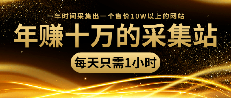 年赚十万的采集站，每天1小时，一年采集出一个售价10W的网站（无水印）_抖汇吧