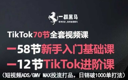 TikTok全套视频课，新手入门+进阶课，短视频ADS-GMV MAX投流打品，日销破1000单打法_抖汇吧