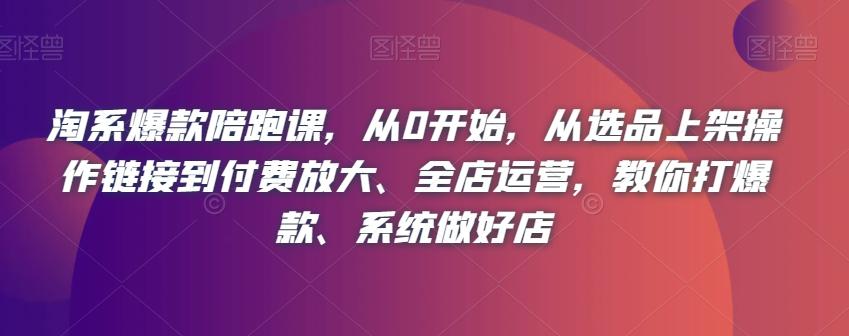 从选品到全店运营，淘系爆款陪跑课教你系统打造爆款店铺_抖汇吧