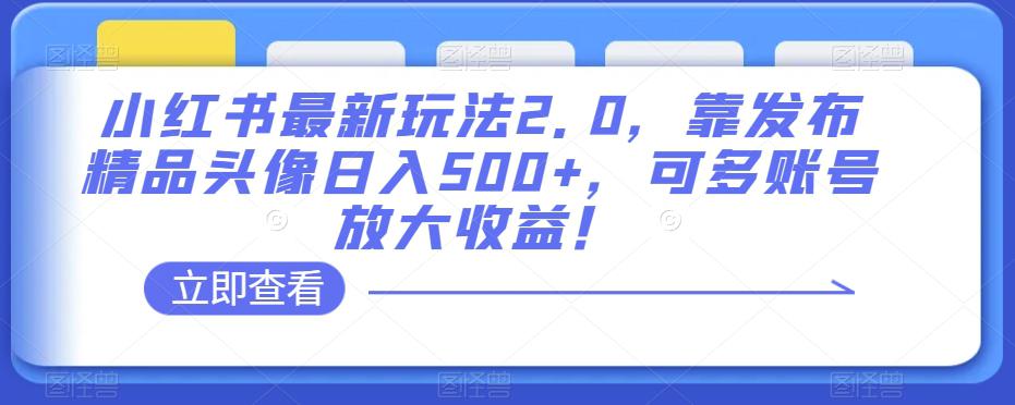 小红书最新玩法2.0：发布精品头像日入500+，多账号放大收益！_抖汇吧