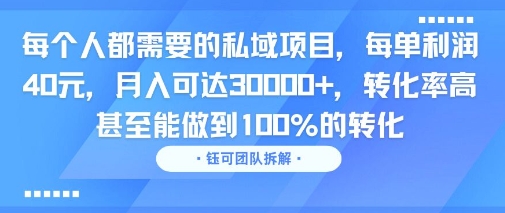 每个人都需要的私域项目，每单利润40米，月入可达3W+，转化率高 甚至能做到100%的转化_抖汇吧