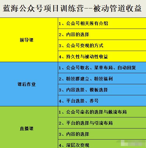 蓝海公众号项目训练营，手把手教你实操运营公众号和小程序变现_抖汇吧