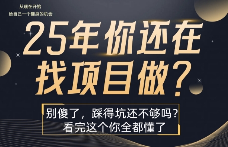 25年，你还在疯狂的找项目吗？别傻了，看完这个你都懂了【揭秘】_抖汇吧