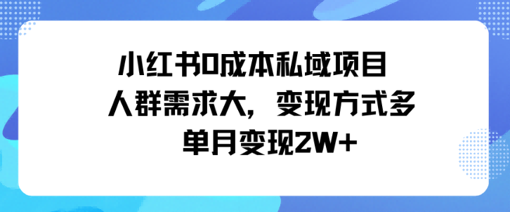 小红书0成本私域项目，人群需求大，变现方式多单月变现2W+_抖汇吧