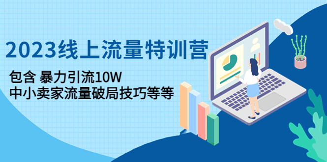 2023线上流量特训营：包含暴力引流10W+中小卖家流量破局技巧等等_抖汇吧