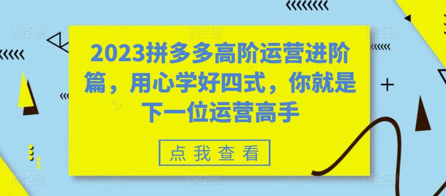 2023拼多多高阶运营进阶篇，用心学好四式，你就是下一位运营高手_抖汇吧