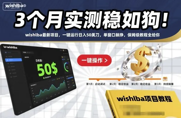 3个月实测稳如狗！wishlba最新项目，一键运行日入50美刀，单窗口躺挣，保姆级教程全给你【揭秘】_抖汇吧