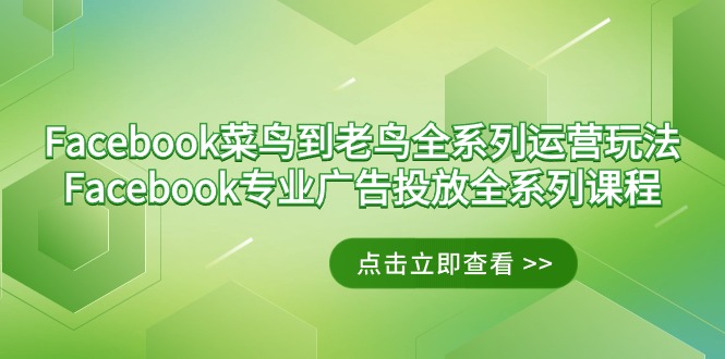 Facebook-菜鸟到老鸟全系列运营玩法+Facebook-专业广告投放全系列课程_抖汇吧