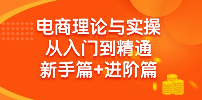 电商理论与实操从入门到精通：抖店+淘系+多多，新手篇+进阶篇_抖汇吧