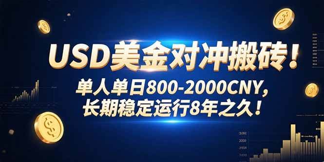 （15551期）USD美金对冲搬砖!单人单日800-2000CNY，长期稳定运行8年之久!_抖汇吧