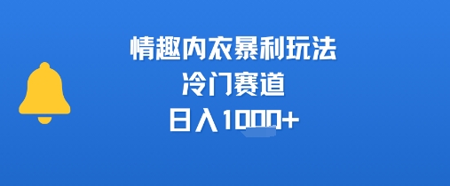 情趣内衣暴利玩法，冷门赛道，日入1k+_抖汇吧