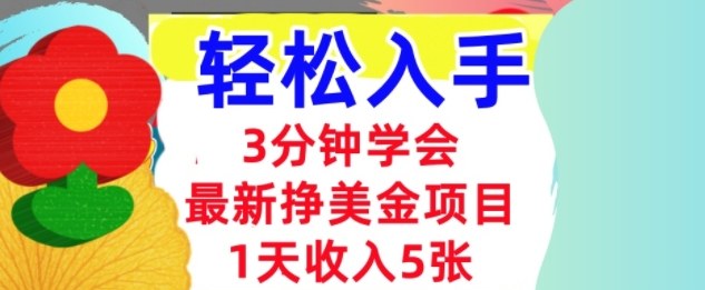 最新挣美金项目，日入5张，3分钟学会，小白轻松入手（长久的被动收入）_抖汇吧