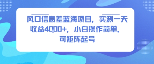 风口信息差蓝海项目，实测一天收益4k+，小白操作简单，可矩阵起号_抖汇吧