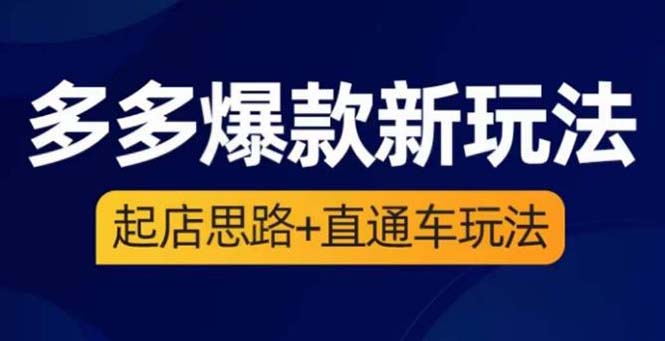 2023拼多多爆款：如何起店+直通车玩法提高点击和转化（3节精华课）_抖汇吧