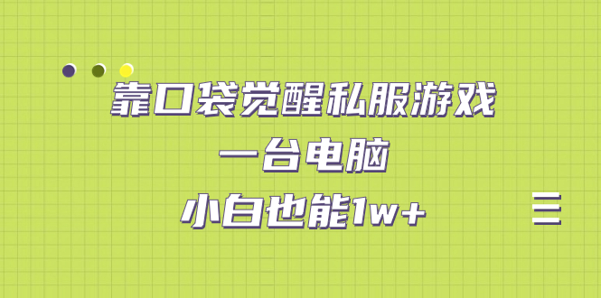 靠口袋觉醒私服游戏，一台电脑，小白也能1w+（教程+工具+资料）_抖汇吧