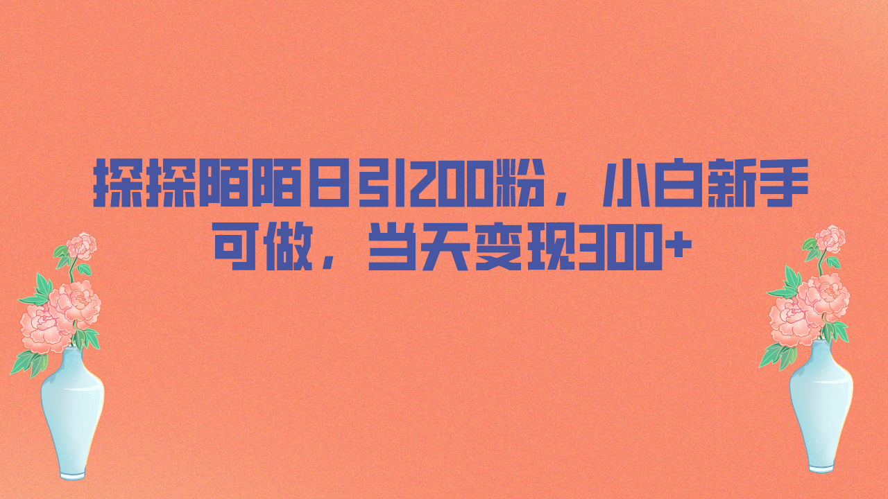 探探陌陌日引200粉，小白新手可做，当天就能变现300+_抖汇吧
