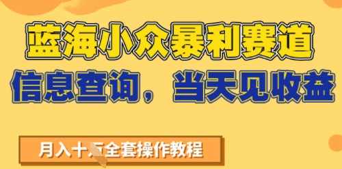 蓝海小众暴利赛道，信息查询，当天见收益，不讲玄学，7天搞了2W+_抖汇吧
