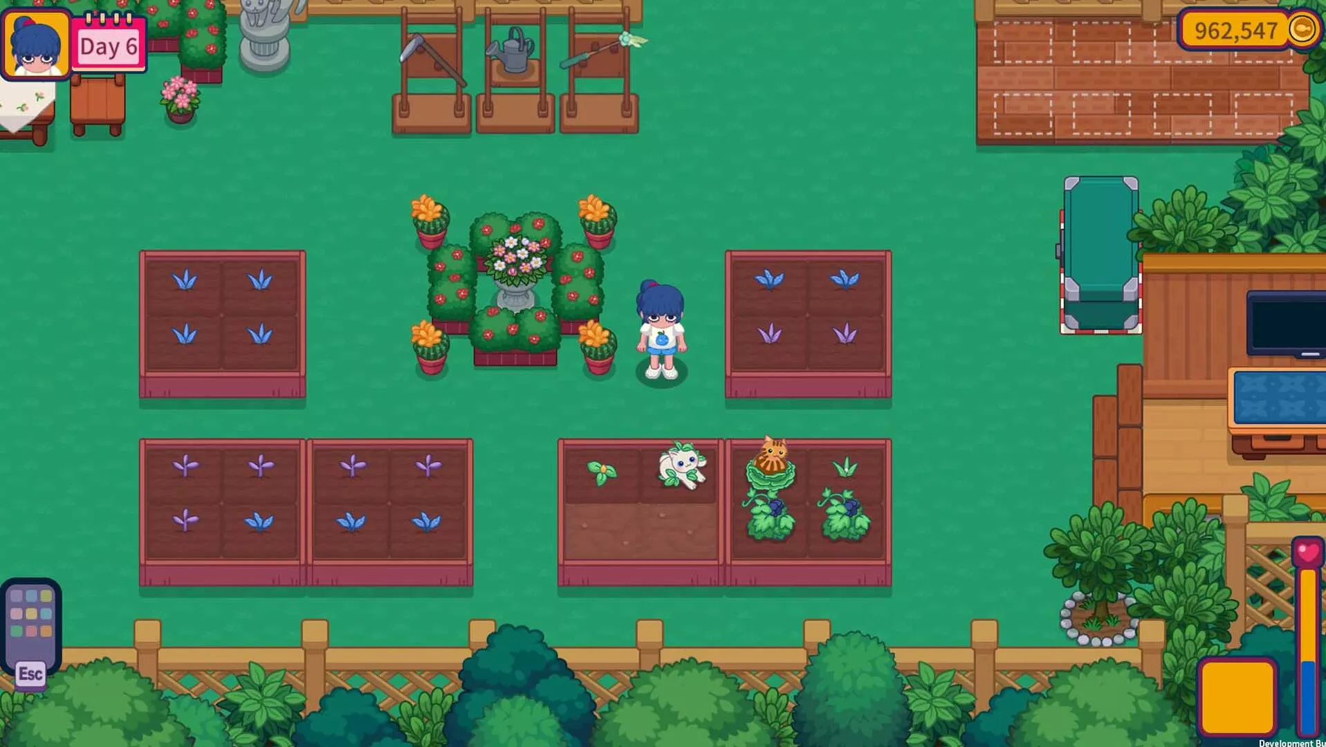 猫咪花园/Meow Garden 新游发布