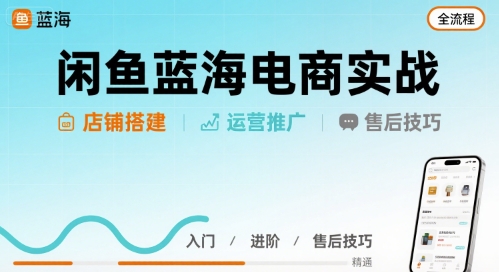 闲鱼蓝海电商实战，店铺搭建运营售后全流程_抖汇吧