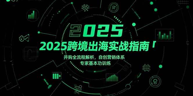 （15503期）2025跨境出海实战指南，并购全流程解析，自创营销体系，专家基本功训练_抖汇吧