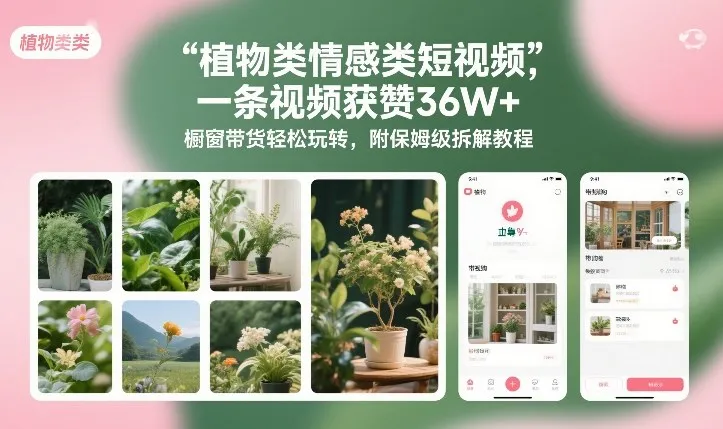 植物类情感类短视频，一条视频获赞36W+，橱窗带货轻松玩转，附保姆级拆解教程_抖汇吧