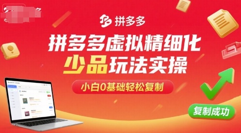 拼多多虚拟精细化少品玩法实操，小白0基础轻松复制_抖汇吧