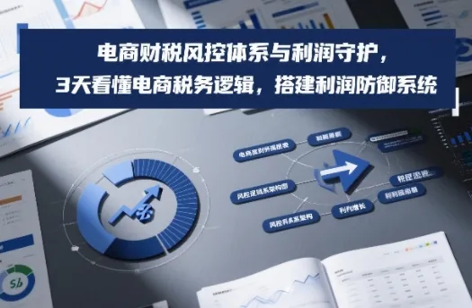 电商财税风控体系与利润守护，3天看懂电商税务逻辑，搭建利润防御系统_抖汇吧