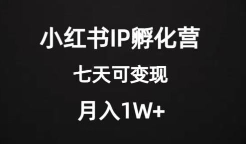 价值2000+的小红书IP孵化营项目，超级大蓝海，七天即可开始变现，稳定月入1W+_抖汇吧