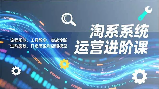 淘系系统运营进阶课2.0，流程规范、工具教学、实战诊断，进阶突破，打造高盈利店铺模型_抖汇吧