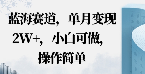 蓝海赛道，小红书私域项目，单月变现2W+，小白可做，操作简单_抖汇吧