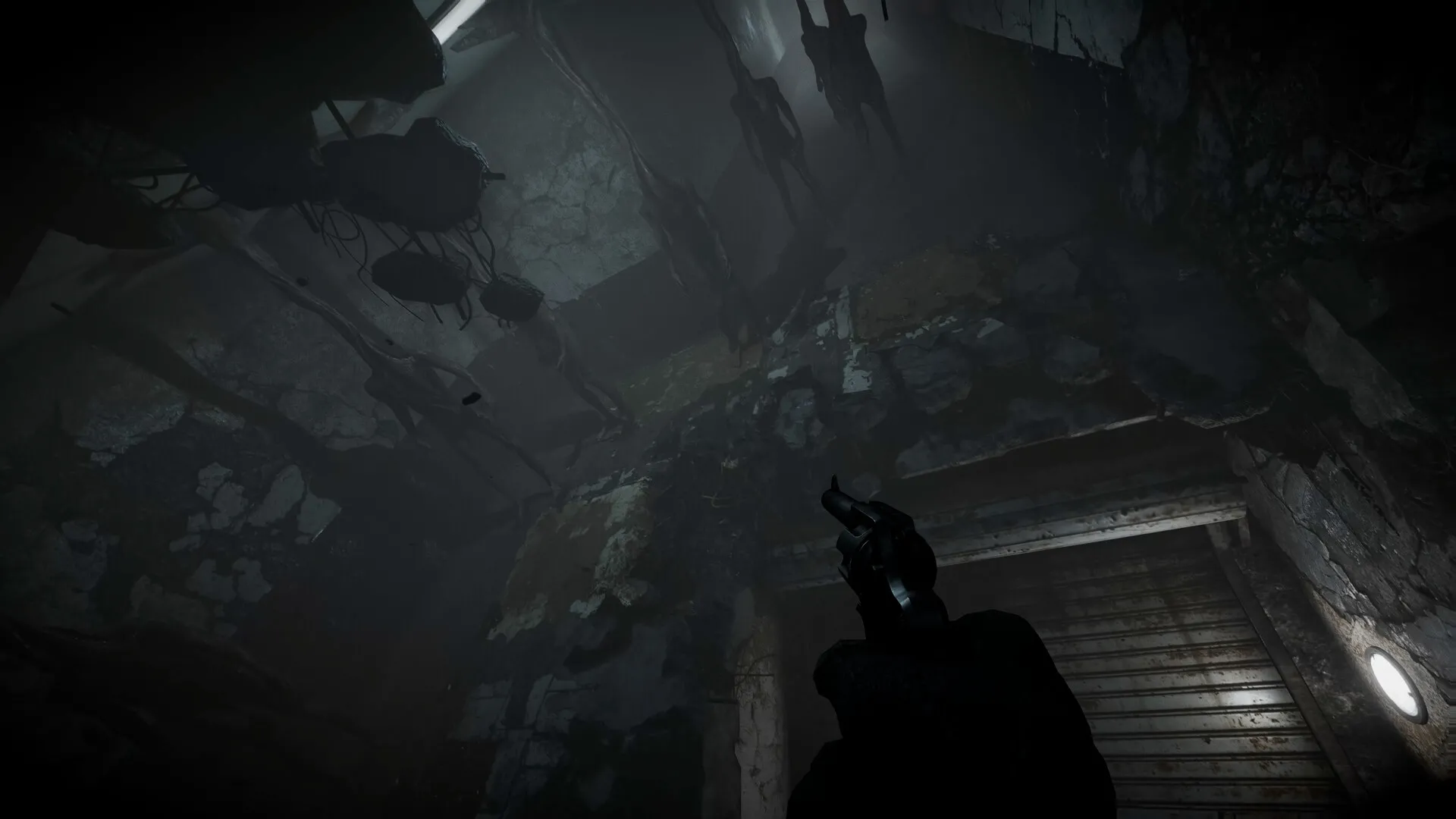 全面混沌/Total Chaos