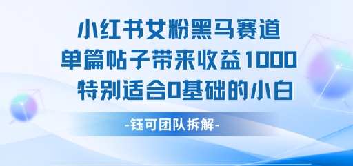 小红书女粉黑马赛道单篇帖子带来收益1k+，特别适合0基础的小白_抖汇吧