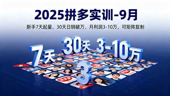 （16008期）2025拼多多实训-9月：新手7天起量,30天日销破万,月利润3-10万,可矩阵复制_抖汇吧
