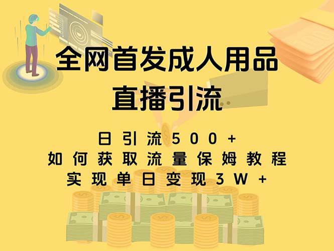 最新全网独创首发，成人用品直播引流获客暴力玩法，单日变现3w保姆级教程_抖汇吧