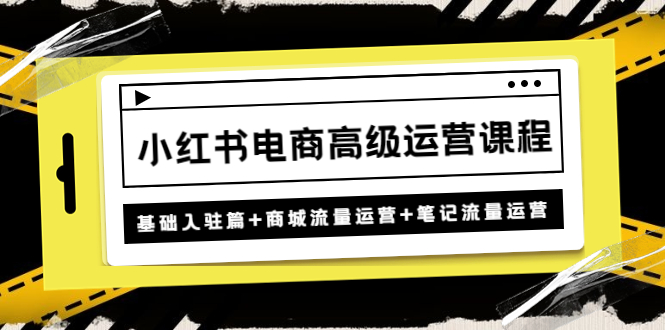 小红书电商高级运营课程：基础入驻篇+商城流量运营+笔记流量运营_抖汇吧