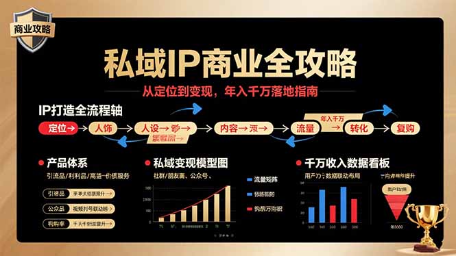 私域IP商业全攻略，从定位到变现，年入千万落地指南_抖汇吧