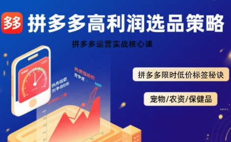 拼多多选品暴利技术实战课，拼多多高利润选品策略，拼多多限时低价标签秘诀_抖汇吧