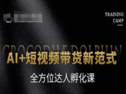 AI+短视频带货新范式，全方位达人孵化课_抖汇吧