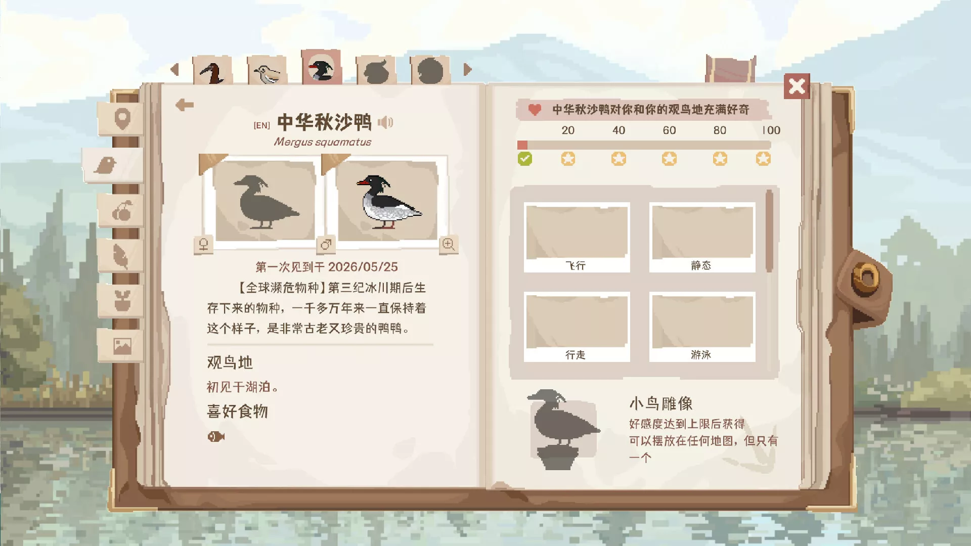 观鸟笔记/Birdwatching Notebook_抖汇吧