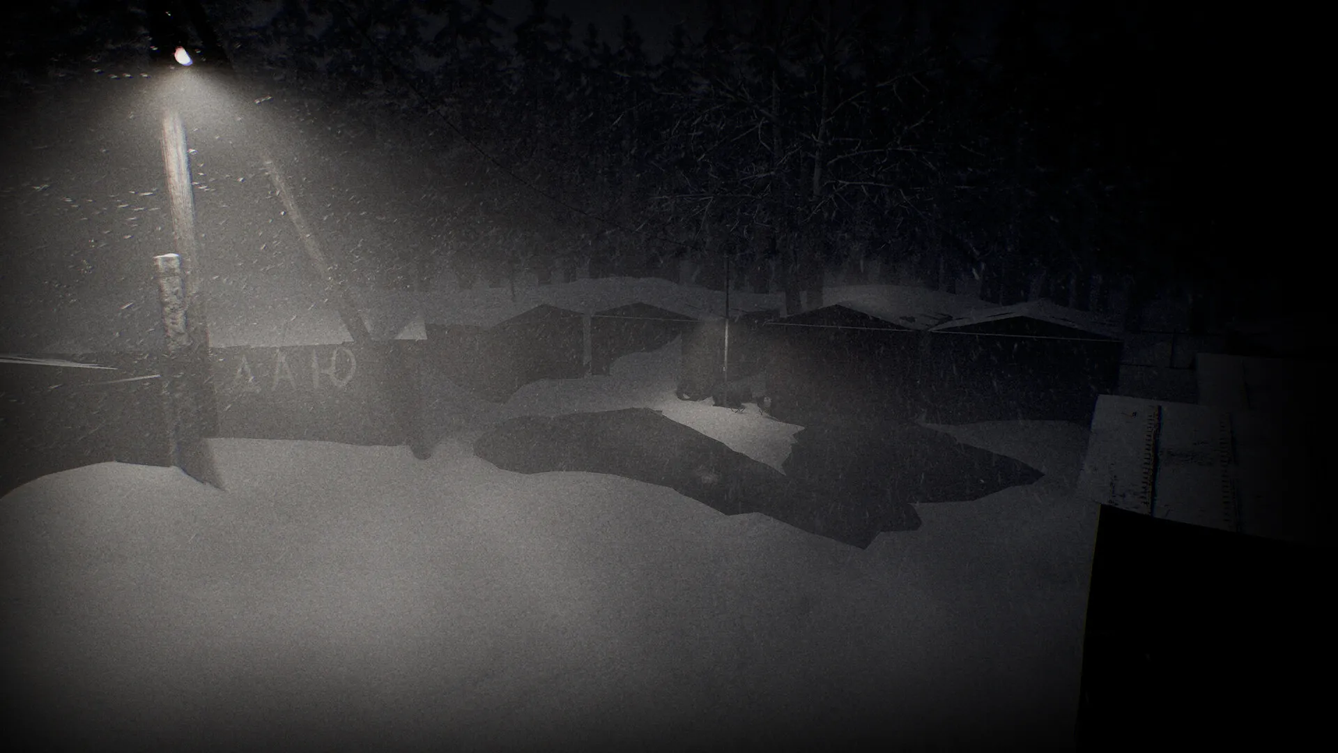 苍白沉寂/White Silence